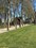 Oude Begraafplaats 4